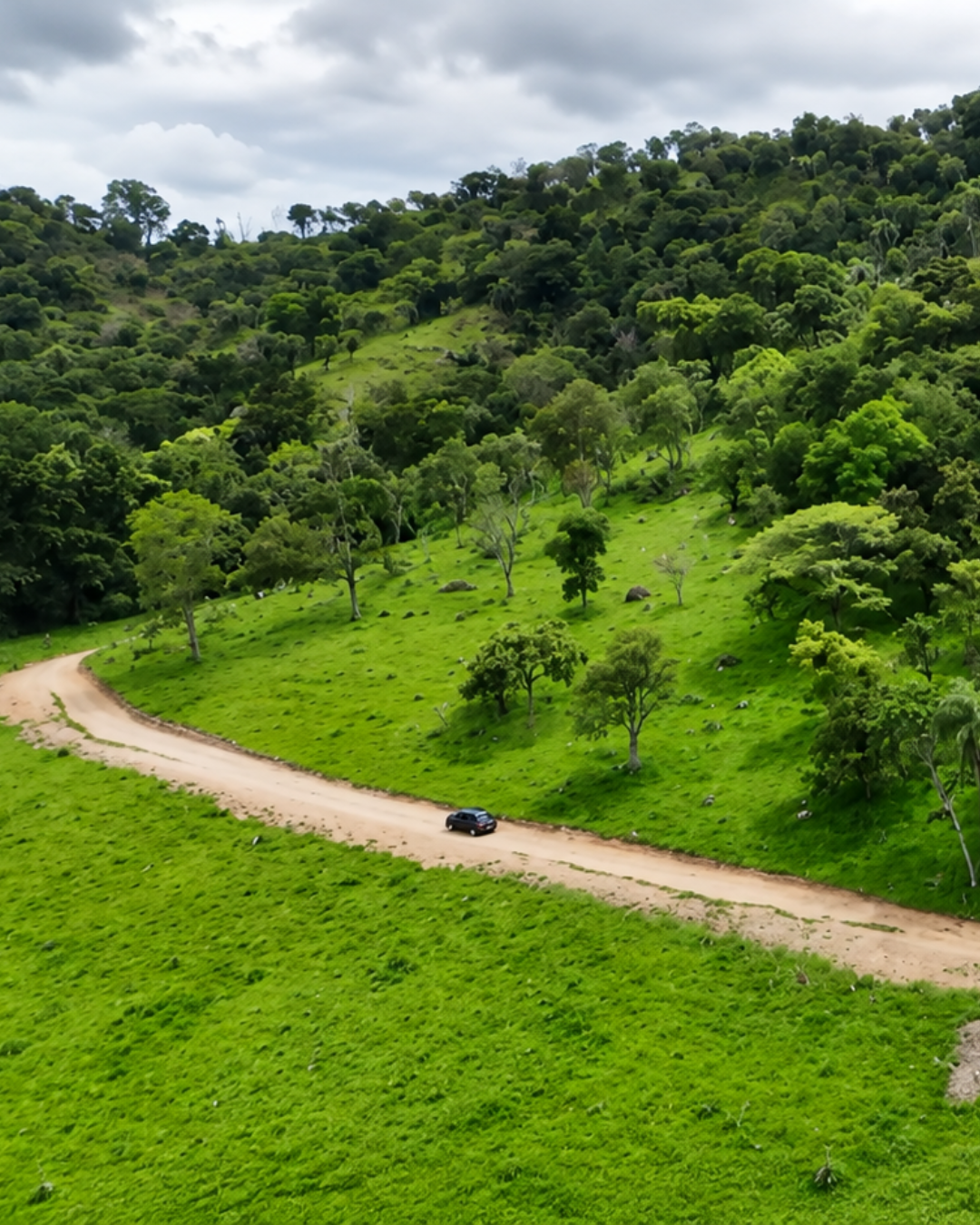 Mata nativa e empreendimentos LÍDER