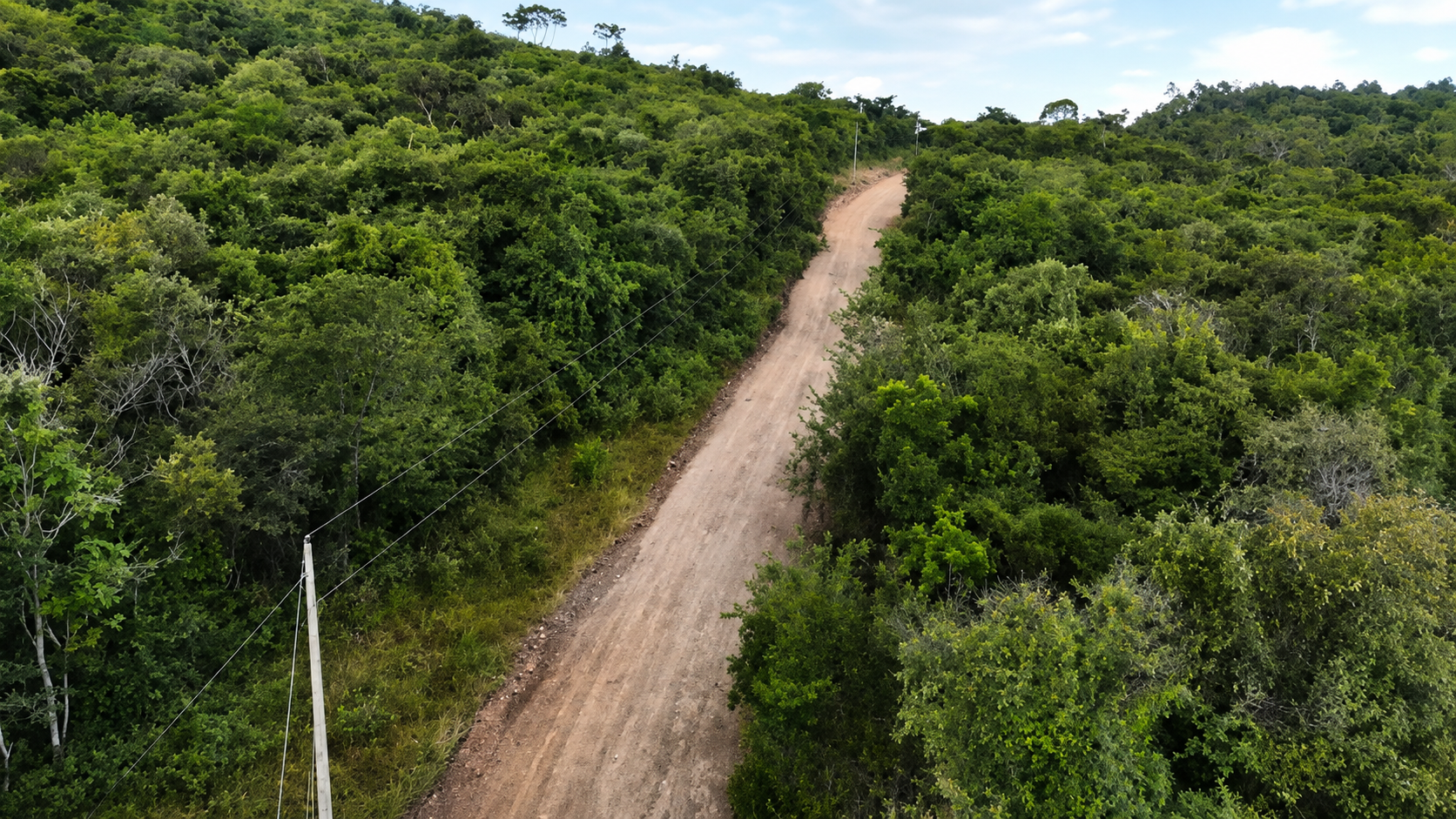 Estrada de terra