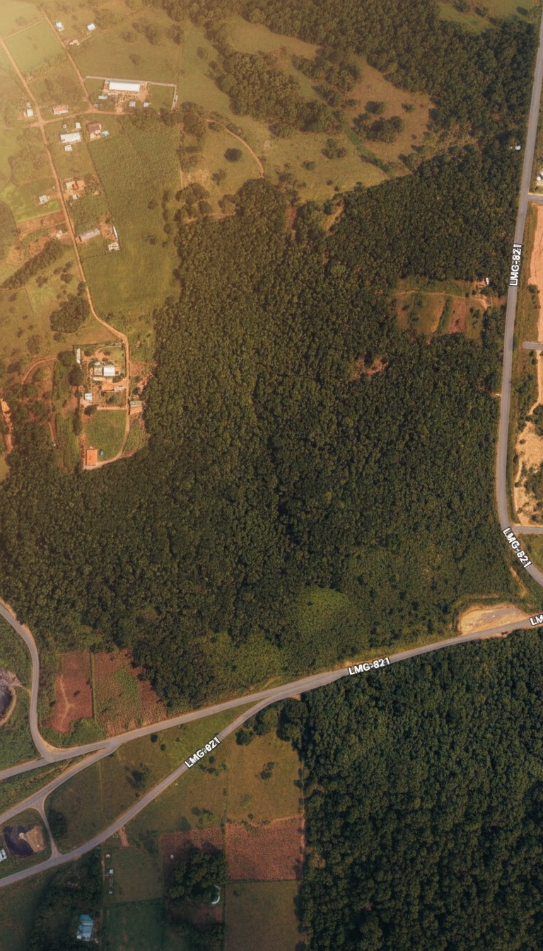 Aérea gleba com casas
