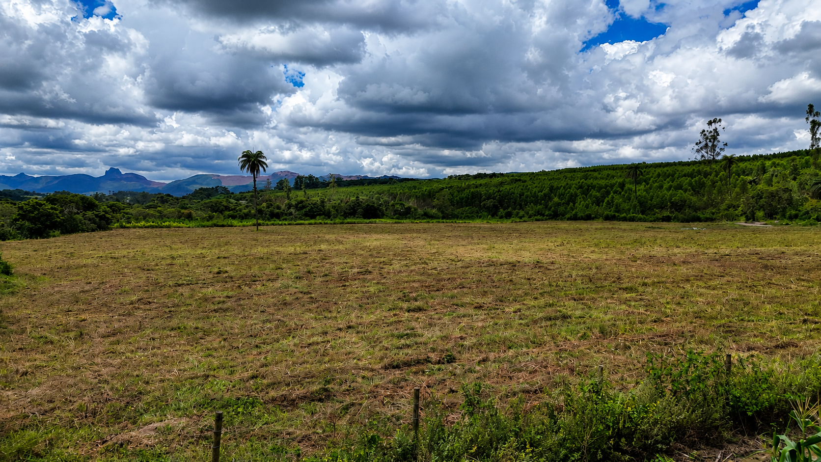 Água âmbar com areia dourada
