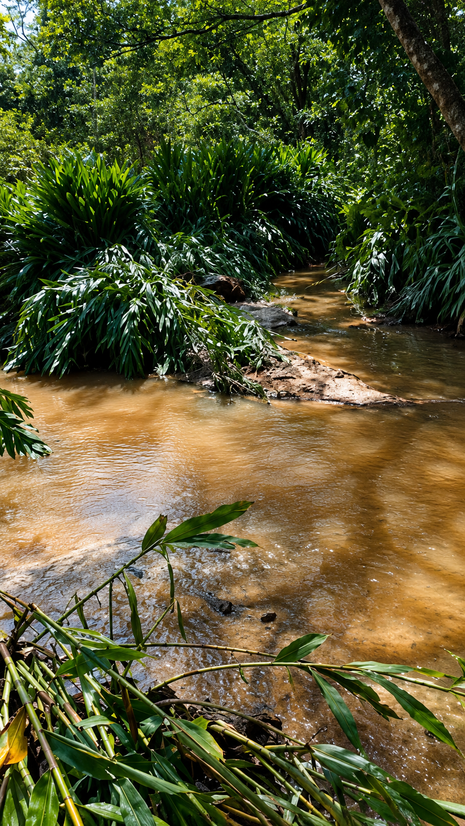 Campo nivelado